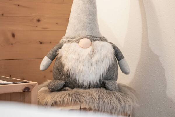 Appartement Mayrhofen