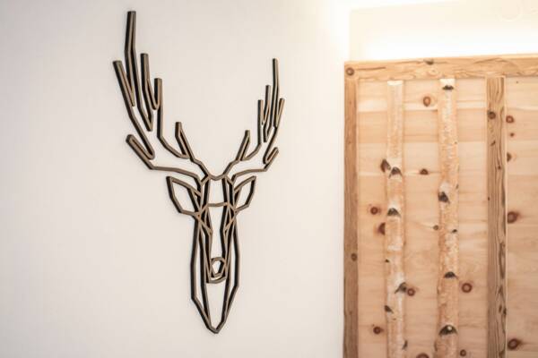 Appartement Mayrhofen