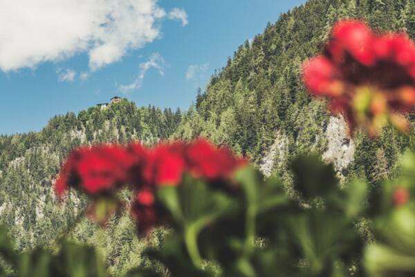 Appartement Mayrhofen