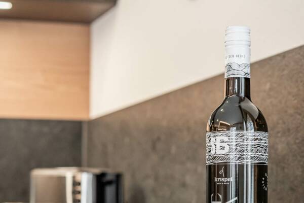 Appartement Mayrhofen