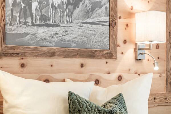 Appartement Mayrhofen
